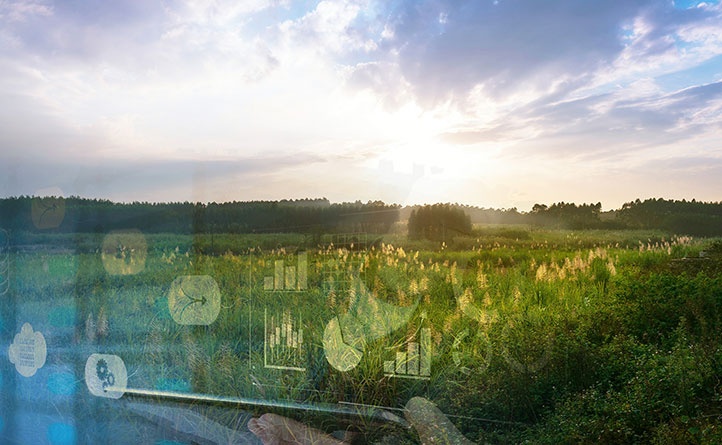 行業(yè)特點(diǎn)